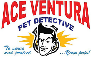 GreenLight Signs Deal for Ace Ventura Films